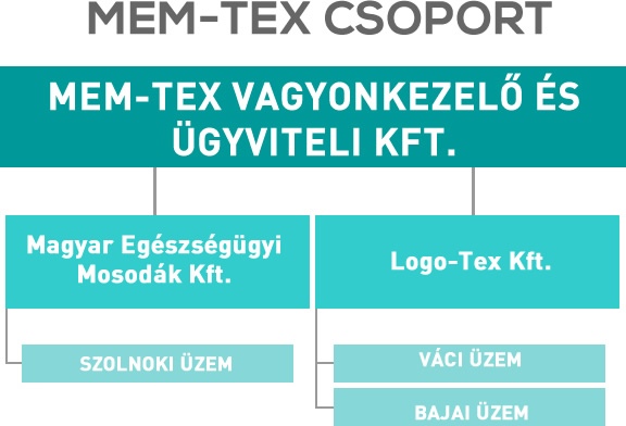 cegstruktura_3